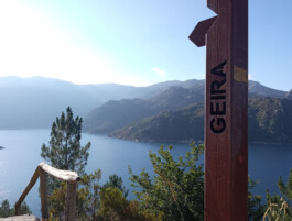 ADRIANO HISTORY TELLER